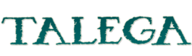 1463-talega-lifestyle-corporation-logo-2