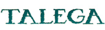 1463-talega-lifestyle-corporation-logo-2