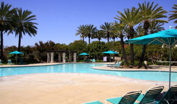 11885735_952528434808681_3536158148377879238_o